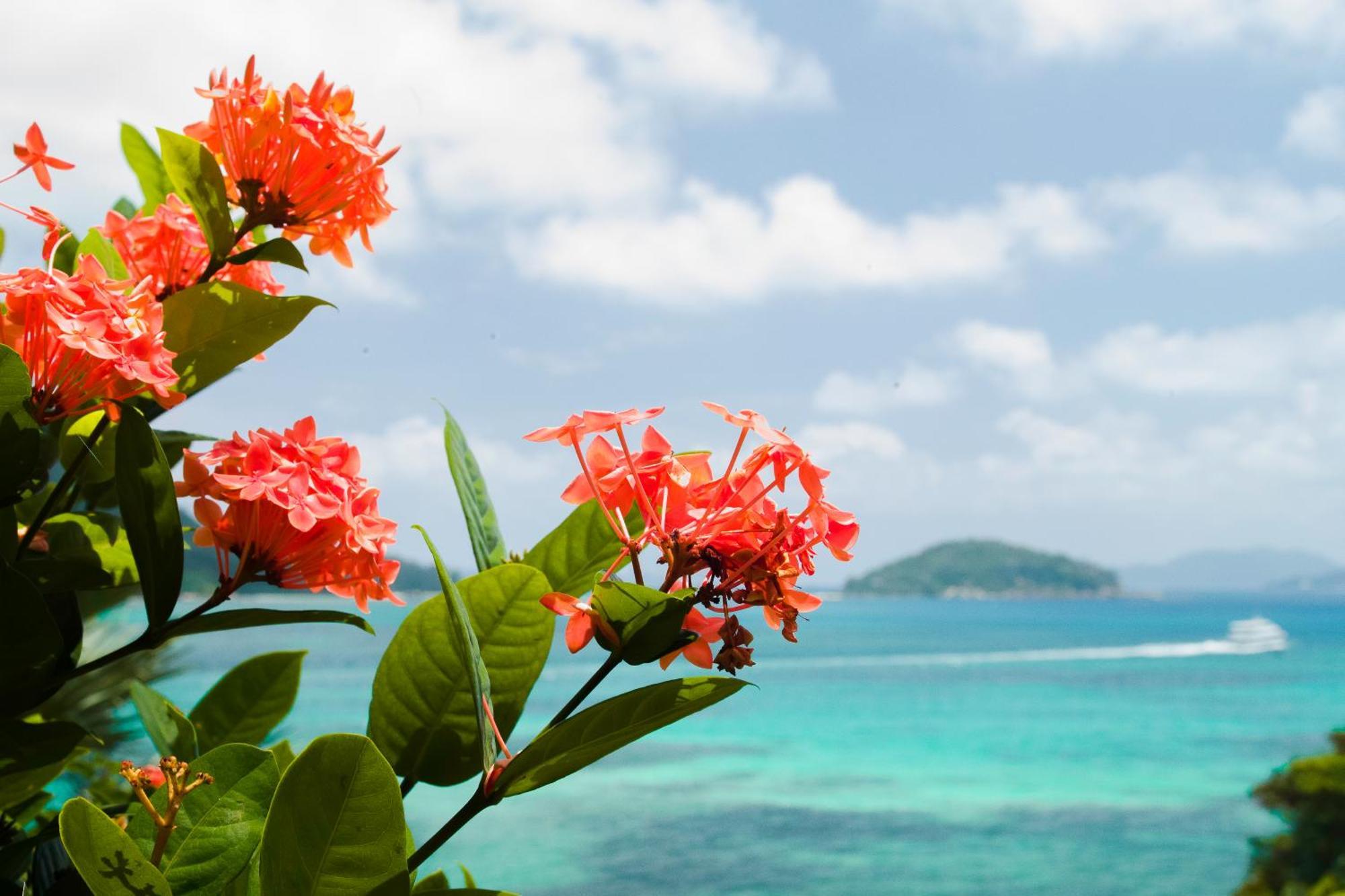 Chalets Cote Mer เบเซนต์แอนน์ ภายนอก รูปภาพ