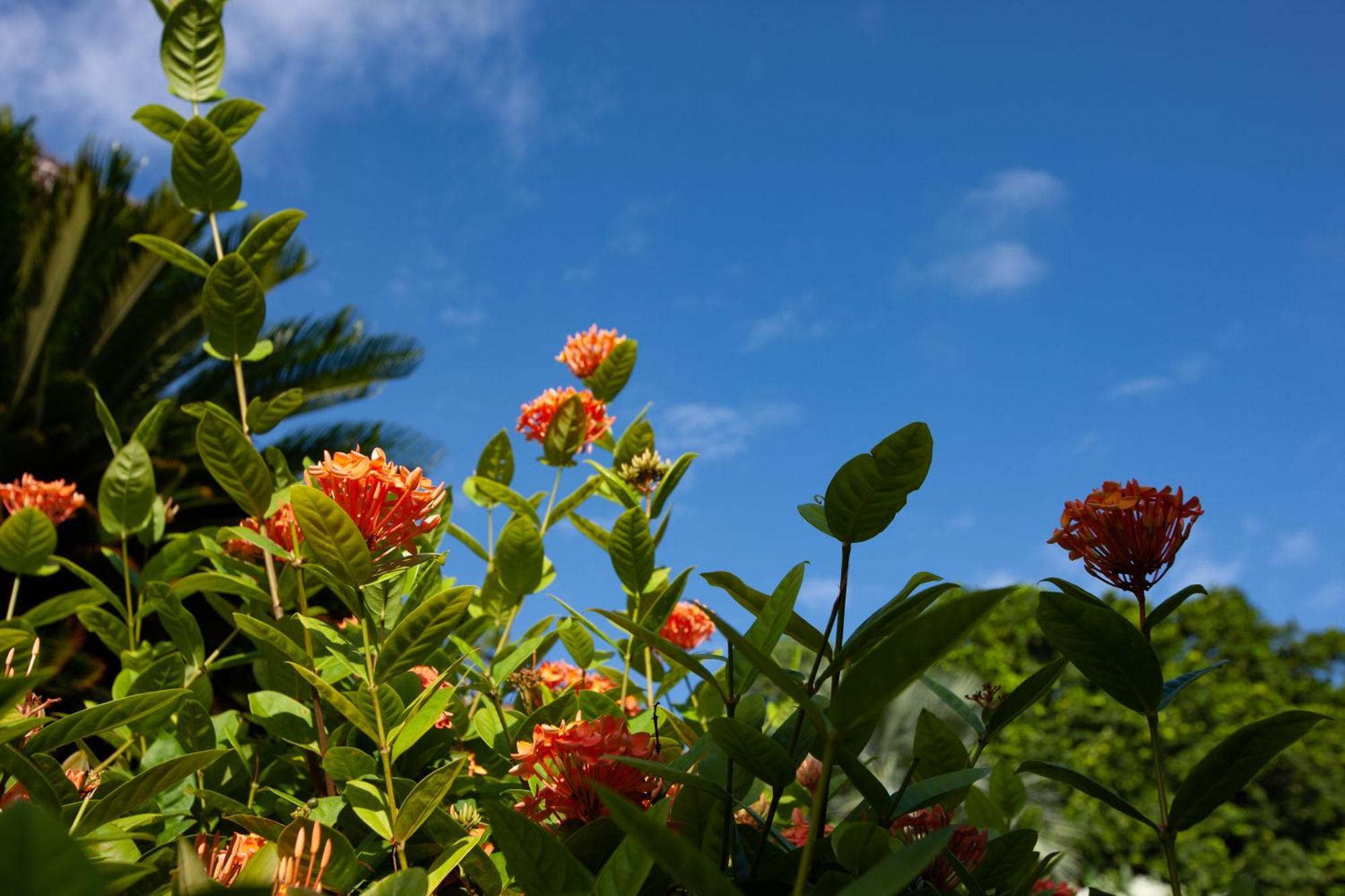 Chalets Cote Mer เบเซนต์แอนน์ ภายนอก รูปภาพ